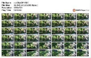 t20892 40fc01cc52ff2320998ef1e3677ac040536dd8d34f jpeg