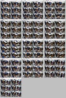 t11811 ada533090015c8814e838281b7935440e1be903df3 jpeg