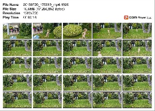 t9829 5cc1146544fc5a4606beacce183bd7b290bcd810c7 jpeg