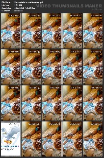 t14018 474e66a5724882685f59d0509b574bdca2f33bfcaa jpeg