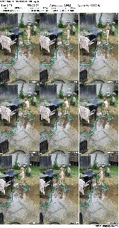t6852 79df6b49431f8dc8daa1018c979d245607c8d5165f jpeg