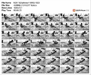 t15303 dc79c729ad182216e0fe5d311e47f66008f9908ea1 jpeg