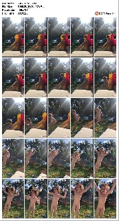 t7241 bd3d1b94dd9aece9d0b27692e679fc02d2f6cac755 jpeg