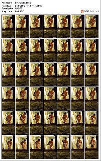 t20892 37faa21a4f56278a3a49226391b339dcbbf5014101 jpeg