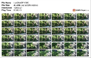 t20892 17a3b3fb02d3792276b4ffd314a2e673626ef1f09c jpeg