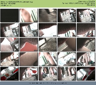 t8055 8391637c320216333e7e56634c234cbb0c16f49b0c jpeg