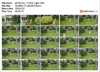 t9829 ba87760d16fa61f3c076987a1135b12e3e56344806 jpeg