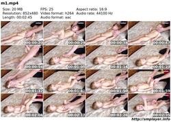 t10260 71cd751156d90c7a84a94df387eb9324433791a2b1 jpeg
