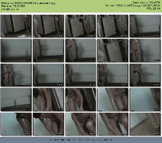 t8055 97f0887efd6db98e2473f14f3b830dff33814dd4e8 jpeg