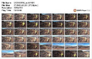 t20892 38a6158c53af09a513f6551b71a32c8464e435915e jpeg