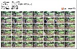 t20892 aa9a1028a1ef0f95414ef39e15d4b6318116f010ae jpeg