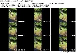 t6852 27a409d5fa8903f250d26c6f5f1f24a493577925da jpeg