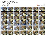t20892 a79dce318d4474d8cad460ceb6b4822fb5caa66d8a jpeg