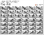 t15303 bbf797f996e96ab277b2f7cc0b294457dd734ca442 jpeg