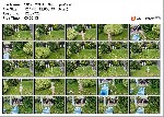 t9829 bca1dd15d95bd309c3766438bd1e4b97bb2eaa29ed jpeg