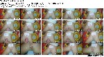 t17251 a897a5e30c131774a4b0391cf822a7c6d50577a54d jpeg