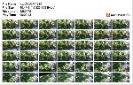 t20892 40fc01cc52ff2320998ef1e3677ac040536dd8d34f jpeg