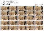 t7105 d5e92aeb46733497e10c88b036a1c2a7fde7253a21 jpeg