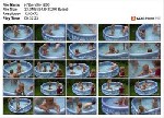 t10260 f02a8d47881271d618864a5e8c4a68a2d2c120dceb jpeg