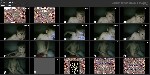 t3336 91676ce7a2c8eabcf27330730b0a994d9bed4686ca jpeg