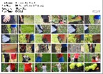 t4166 0bb2aba471e1adc6b413477d0f03137edb83e05fe0 jpeg