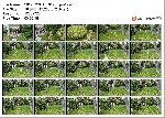t9829 5cc1146544fc5a4606beacce183bd7b290bcd810c7 jpeg