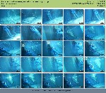 t7904 36a71b0681cead767306d58c1947df113eb8b4eaaf jpeg