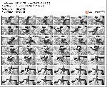 t15303 da33acc52e9bbcb1ba753661fb8be6f290ec0c6e89 jpeg