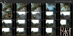 t3336 4269fd337dab865bb9ea9f54bff9229003f3d7dd77 jpeg