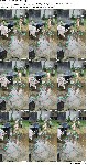 t6852 79df6b49431f8dc8daa1018c979d245607c8d5165f jpeg