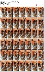 t20892 fe80bea1f0bf37a9850a37b0ece77ba1c8f245ff9b jpeg