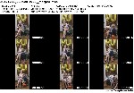 t6852 abc2fc8e754f12ca8fb4a3a151ca74c8efcfdbcdad jpeg