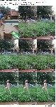 t6852 e169b303958eb89fc9d79a73239011a796954508ec jpeg