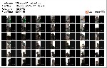 t21478 6045b526a3d7c6dbe5f63f5ee52fca86a63d0b0fd9 jpeg