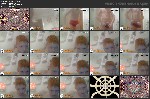 t3336 1577f3dc3d4fc22398c60de8e96b51f180472cdc36 jpeg