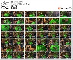t13922 9bf0d3c282711d8043a8052a0a3263d1d7fe17c803 jpeg