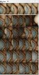 t2589 2e13f19c596ae124feadca6c4b450cb8957935c44f jpeg