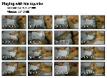 t14916 947b9ff9407a8f86bb9a81720c02ec4deacea13466 jpeg