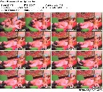 t11592 979066069afdc8716727a133a9e1e398221c18dd43 jpeg
