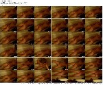 t21185 ceec7ece91f907a5d718f8848cf2174b10f611de16 jpeg