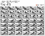 t15303 dc79c729ad182216e0fe5d311e47f66008f9908ea1 jpeg