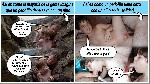 t24 19d2f6f4bba4d43efd6d77abb4c44c7ef1fff3829f jpeg