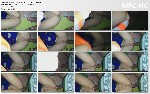 t12969 7e29c2851ea9317a535303e252ad8006ca41df77f9 jpeg