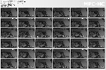 t2589 83430db9f88bb96e945e6b4c85c169f748010d9646 jpeg