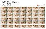 t21204 a6b9053fcd88a7d9f7425ed27e12785e3462996ed0 jpeg