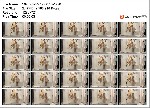 t7104 5a9a9241ebe1a78e0dd1d73b45d8929aad4a9e1c8e jpeg