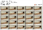 t8757 635fb302b21a67adeb9677d5fb7444ee3c4b6cdaa7 jpeg