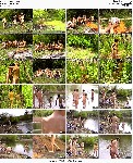 t19498 345d1b63589b1b3f0de88a5b8848c0bb66e296b29d jpeg