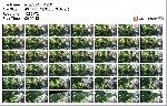 t20892 17a3b3fb02d3792276b4ffd314a2e673626ef1f09c jpeg