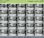 t7904 d4a2f15dc51366de9d45e58d2def232c1f0d6a4675 jpeg